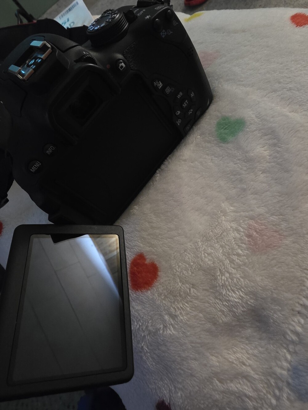Canon Camera - Picture 10 of 12